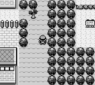 Collecting a hidden item in Celadon City