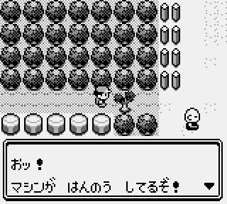 Using the ItemFinder to locate a hidden item in a bush